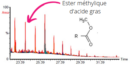 Quantification EMAG